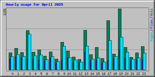 Hourly usage for April 2025