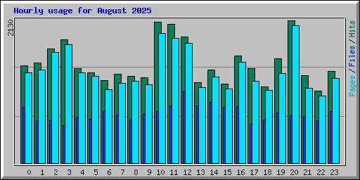 Hourly usage for August 2025