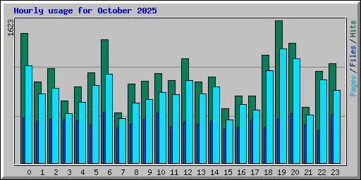 Hourly usage for October 2025