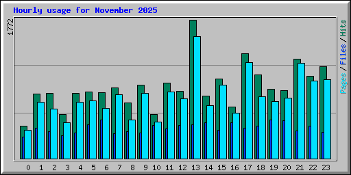 Hourly usage for November 2025