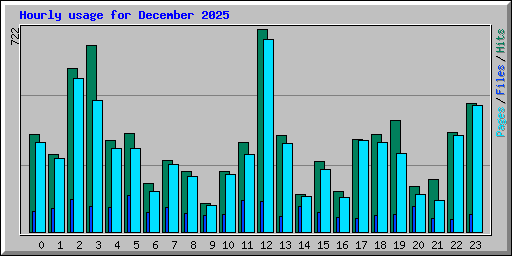 Hourly usage for December 2025