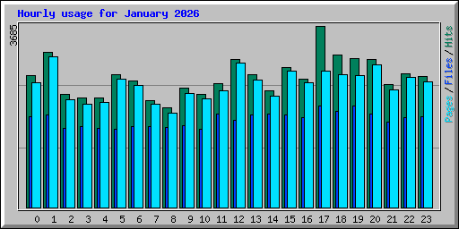 Hourly usage for January 2026